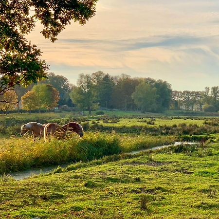 Ferienwohnungen Klein Kapelle Gingst Exterior foto