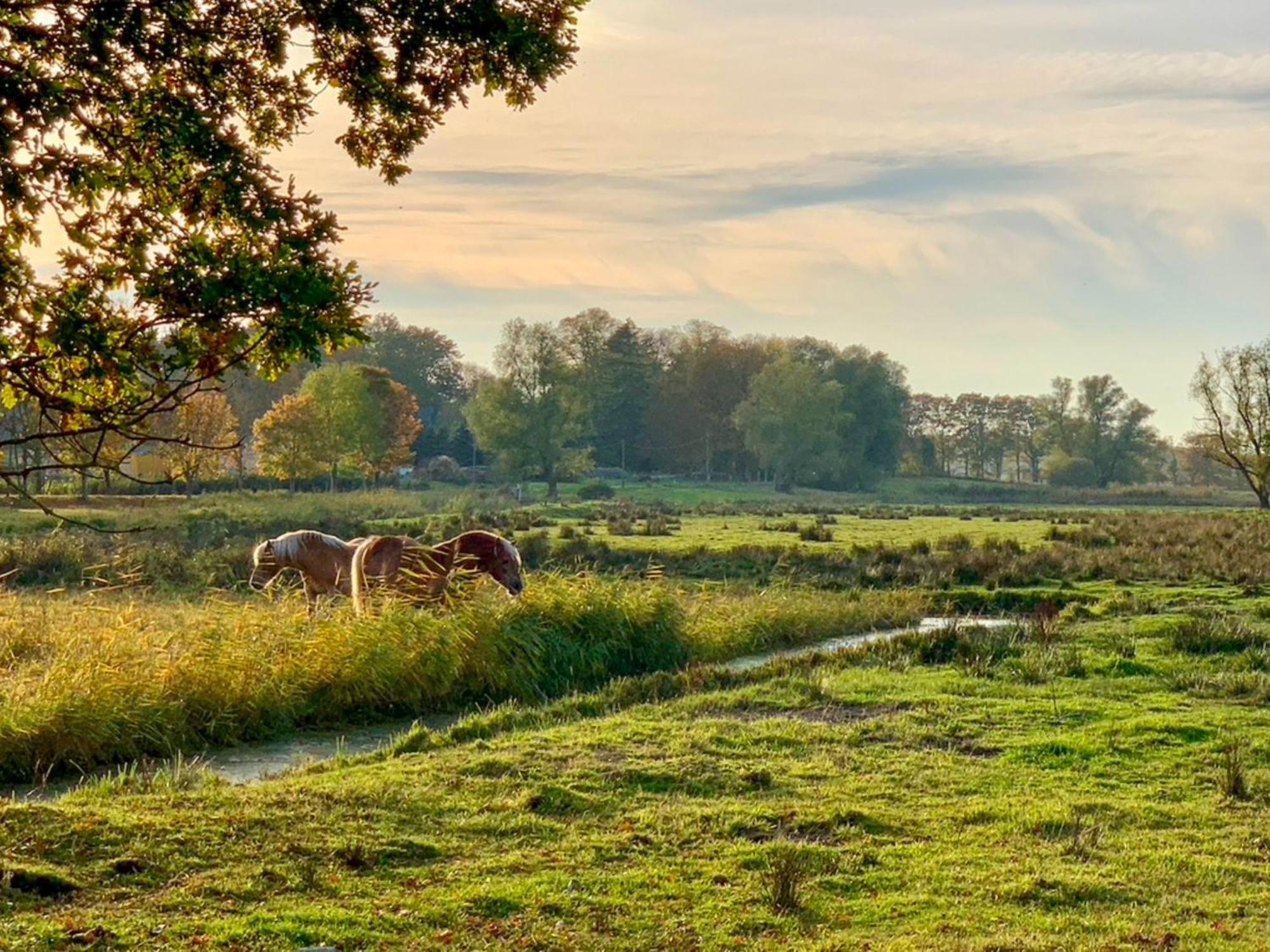 Ferienwohnungen Klein Kapelle Gingst Exterior foto