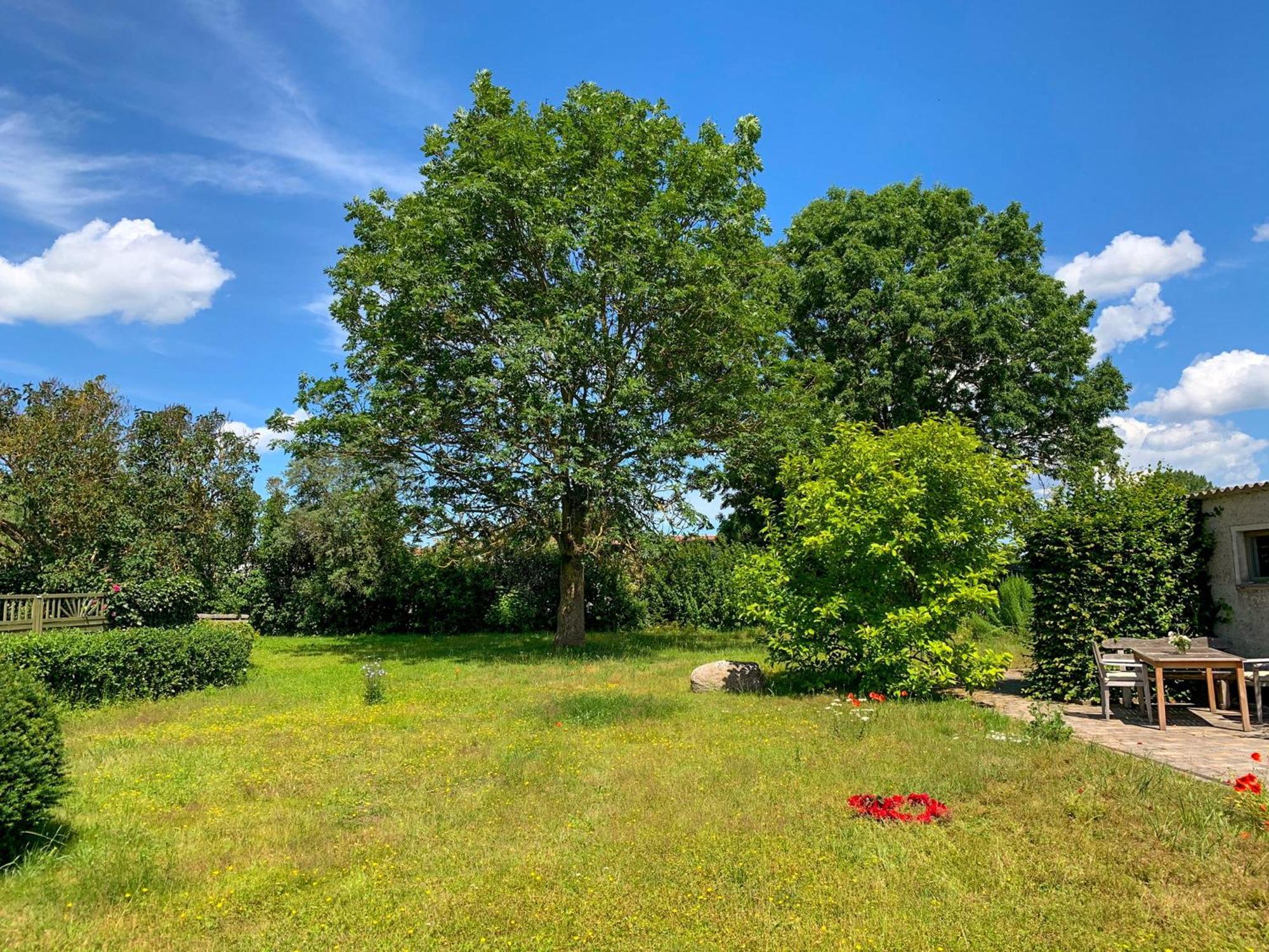 Ferienwohnungen Klein Kapelle Gingst Exterior foto